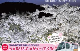 筆影山夜桜ライトアップ＆竜王山駐車場での物販