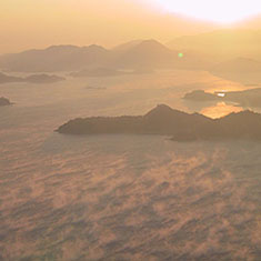 黄金の海霧