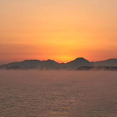 黄金の海霧