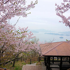 筆影山より望む桜と瀬戸内海