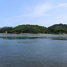 小佐木島