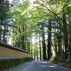 佛通寺