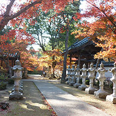 佛通寺の紅葉