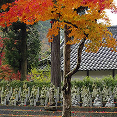 佛通寺の紅葉