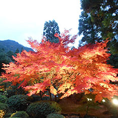 佛通寺の紅葉