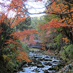 佛通寺の紅葉