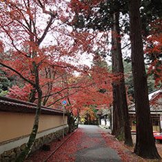 佛通寺の紅葉