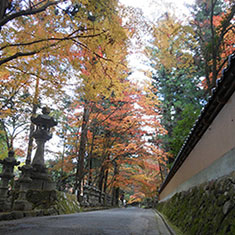 佛通寺の紅葉