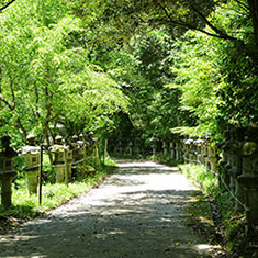 御調八幡宮