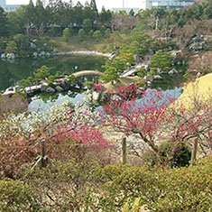 春の三景園