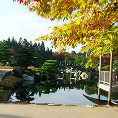 三景園の紅葉