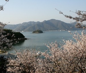 港の丘公園