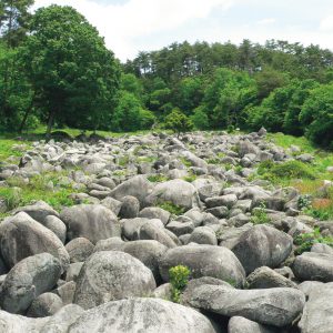 久井岩海（国天然記念物）