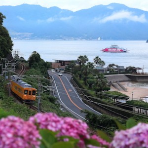 すなみ海浜公園