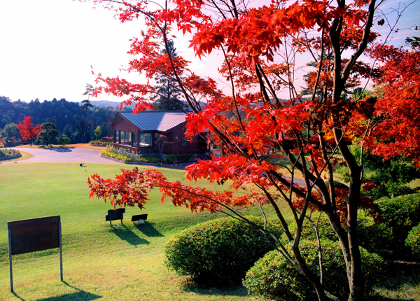 秋には色付いた木々がさまざまな紅葉を見せてくれます。ゴルフ以外の楽しみもたくさんあります。