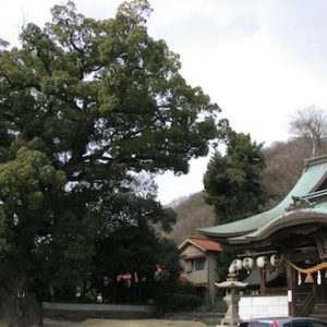 糸碕神社