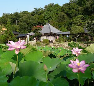 棲眞寺