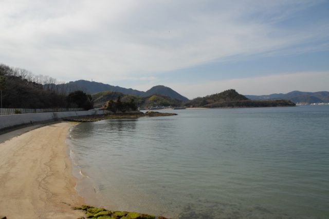 佐木大野浦自然海浜保存地区