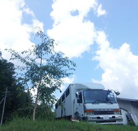 クラブ風景・・・クラブの敷地内の一風景。馬を運ぶトラック　馬運車です。