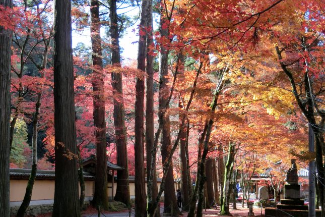 佛通寺・御調八幡宮めぐり