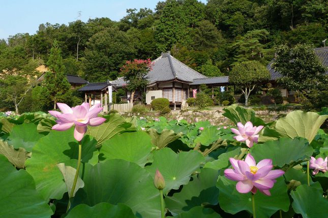 大和の自然と古寺（棲眞寺・米山寺）めぐり